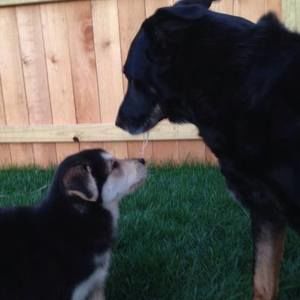 Meet your Posher, Christy